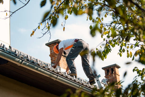 Best Rubber Roofing (EPDM, TPO)  in South Boston, VA